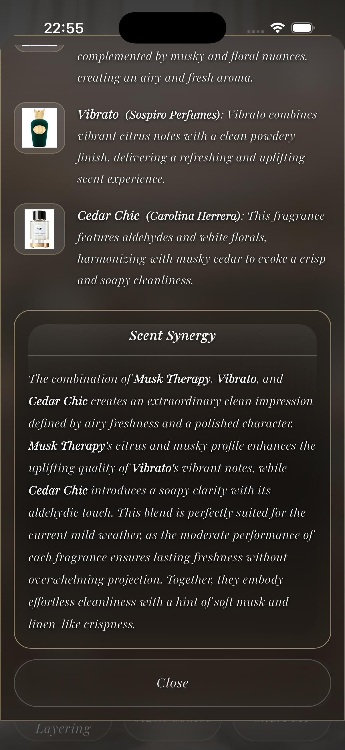 VeilAir app preview 16