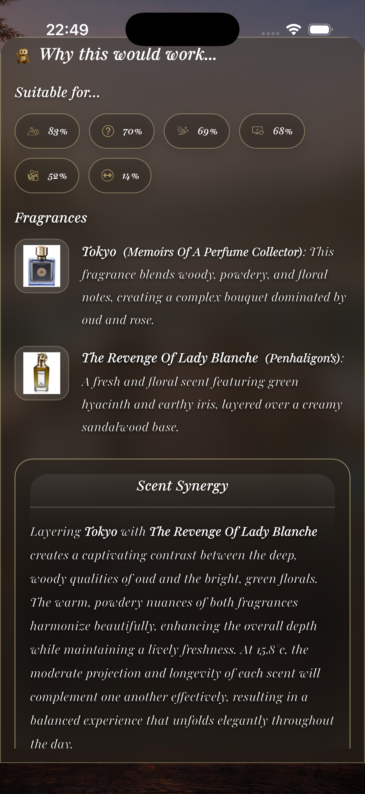 VeilAir app preview 3
